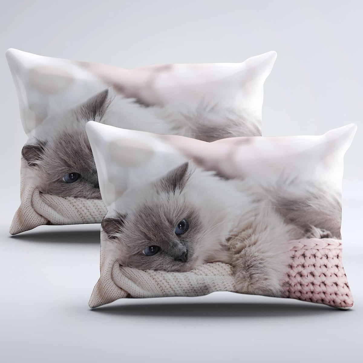 2 Kissen bedruckt mit Katze