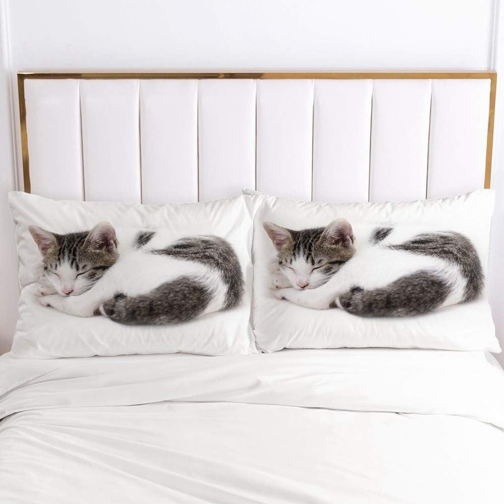 Katzenbettwäsche bedruckt